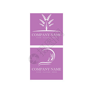 薰衣草 Logo 模板矢量符号香气花园叶子紫色芳香草本植物植物白色花束疗法背景图片