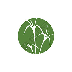 甘蔗 Logo 模板矢量符号标识收成横幅生物产品热带棕榈植物贴纸果汁背景图片