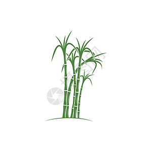 植物LOGO甘蔗 Logo 模板矢量符号食物横幅标签贴纸插图生物产品植物棕榈收成插画