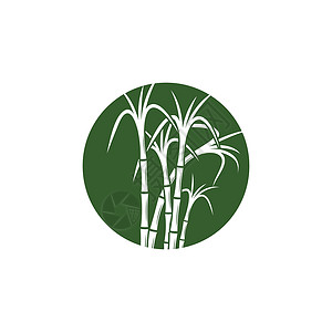 甘蔗 Logo 模板矢量符号标识植物绿色颗粒状生物热带标签果汁横幅棕榈背景图片