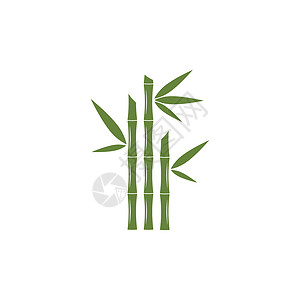 日本温泉带有绿叶矢量图标模板的竹标志草本商业竹子木头绿色温泉标识植物艺术叶子插画