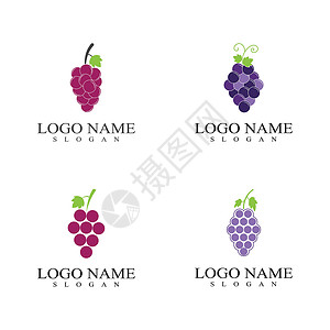 斐乐标志它制作图案的葡萄标志模板矢量图标集食物葡萄园葡萄属桌子黑色藤蔓美味紫色和睦插图插画