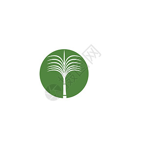 甘蔗 Logo 模板矢量符号食物白色绿色场地地球插图农场燃料叶子种植园背景图片