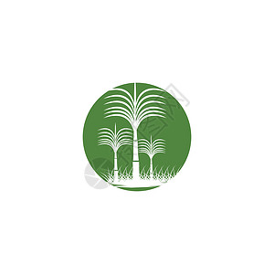甘蔗 Logo 模板矢量符号种植园场地绿色食物地球叶子农业农场植物标识背景图片