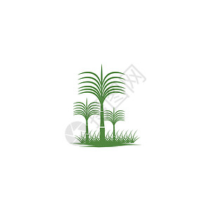 甘蔗 Logo 模板矢量符号生长农场燃料标识地球叶子绿色插图植物农业背景图片