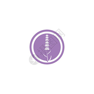 薰衣草 Logo 模板矢量符号草本植物花束香气叶子白色植物草本疗法紫色芳香背景图片