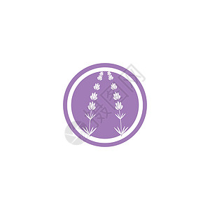 薰衣草 Logo 模板矢量符号植物花园芳香疗法草本花束白色草本植物香气紫色背景图片