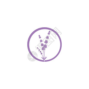 薰衣草 Logo 模板矢量符号花园草本草本植物植物紫色白色花束叶子疗法芳香背景图片