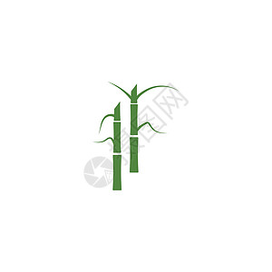 甘蔗 Logo 模板矢量符号地球植物生长插图燃料场地农场白色绿色生物背景图片