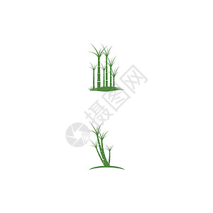 甘蔗 Logo 模板矢量符号叶子植物生物白色插图生长农业绿色种植园燃料背景图片