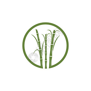 甘蔗 Logo 模板矢量符号热带标识棕榈果汁绿色插图叶子颗粒状贴纸收成背景图片