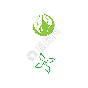 素食主义者标志模板矢量符号绿色食物圆圈叶子标识健康商业菜单餐厅生态背景图片