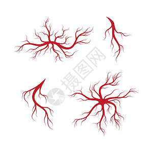 红色眼球人体静脉和动脉插图设计解剖学药品眼球眼睛红色生物学血管曲线宏观医疗插画