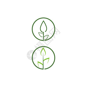 叶标志模板矢量符号绿色生物叶子环境生长插图生态植物装饰品背景图片