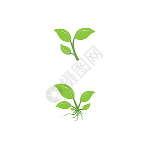 叶标志模板矢量符号生长生态植物装饰品生物环境绿色叶子插图背景图片