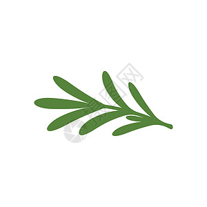 植物迷迭香迷迭香叶矢量标志插图模板收成植物药品食物香气烹饪元素设计草本芳香插画