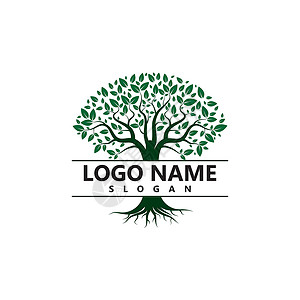 树标志模板矢量 ico插图叶子花园标识生态生长生活绿色公司植物背景图片