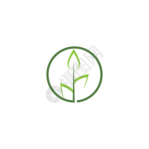 叶标志模板矢量符号环境装饰品插图植物绿色生态生物生长叶子背景图片
