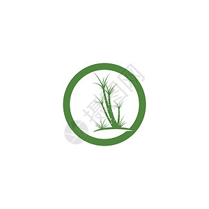 甘蔗 Logo 模板矢量符号种植园地球场地插图燃料叶子食物农业生长绿色背景图片