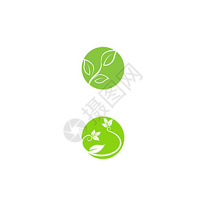 叶生态标志模板 vecto插图绿色生活叶子植物白色网络环境背景图片
