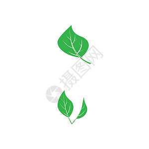 素食主义者标志模板矢量符号生态绿色健康叶子餐厅菜单食物圆圈标识商业背景图片