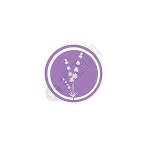 薰衣草 Logo 模板矢量符号叶子草本植物植物草本芳香白色花束香气疗法花园背景图片