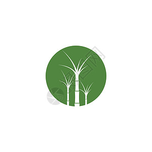 甘蔗 Logo 模板矢量符号场地植物叶子地球农业种植园标识插图燃料生长背景图片