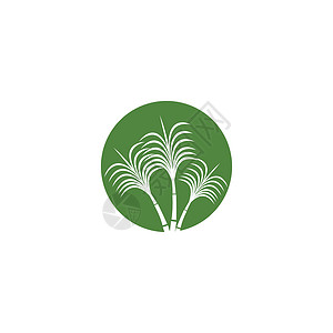 甘蔗 Logo 模板矢量符号农场农业地球场地插图标识生物种植园生长叶子背景图片