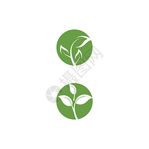 叶标志模板矢量符号环境装饰品叶子生长绿色插图植物生态生物背景图片