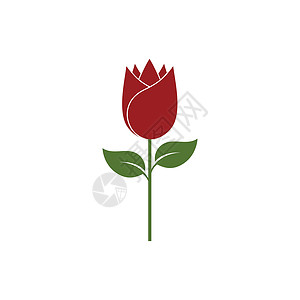玫瑰花朵标志模板 vecto商业插图叶子植物花园温泉创造力标识背景图片
