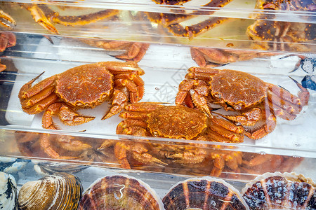 塔拉巴北海道函馆海鲜市场的红帝王蟹 Taraba 蟹 或阿拉斯加帝王蟹旅行商业销售贸易居住餐厅海洋生物美食食物背景