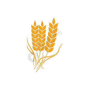 农业小麦模板矢量图标设计植物燕麦饮食标签食物标识营养农场质量粮食背景图片