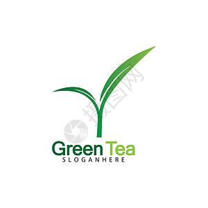 基于白色背景矢量图像的绿茶叶标志矢量图标插画设计草本植物杯子生活标签生态饮料化妆品标识商业艺术背景图片