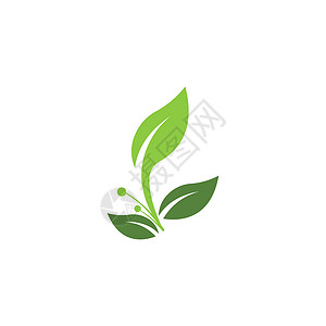 叶标志模板矢量符号植物生长绿色生态装饰品叶子插图生物环境背景图片