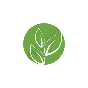 叶标志模板矢量符号叶子装饰品生态绿色生物插图生长植物环境背景图片