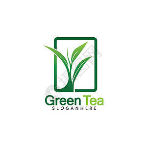 基于白色背景矢量图像的绿茶叶标志矢量图标插画设计叶子生活植物生态标识草本植物身份化妆品饮料商业背景图片