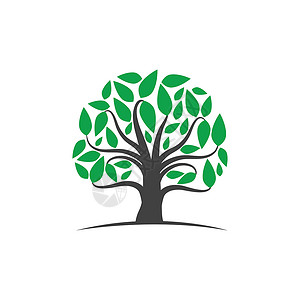 树标志模板矢量 ico公司插图植物标识商业生活生长橡木叶子花园背景图片