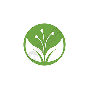 叶标志模板矢量符号生态生物叶子绿色植物插图生长装饰品环境背景图片
