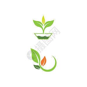 叶标志模板矢量符号植物环境装饰品生态叶子生物绿色生长插图背景图片