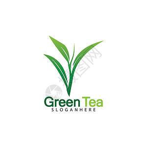 植物标志基于白色背景矢量图像的绿茶叶标志矢量图标插画设计艺术草本植物生活商业叶子早餐化妆品标识植物标签插画