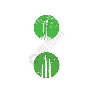甘蔗 Logo 模板矢量符号农业标识种植园生物植物燃料绿色生长白色场地背景图片