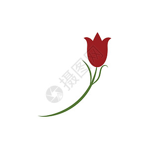玫瑰花朵标志模板 vecto商业花园标识植物温泉创造力插图叶子背景图片