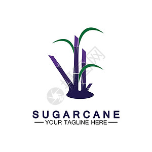 甘蔗标志图标符号矢量图解设计模板标识农场农业热带叶子生物食物种植园果汁标签背景图片