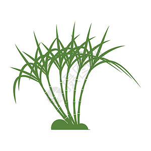 甘蔗 Logo 模板矢量符号收成标签贴纸植物生物标识产品叶子食物热带背景图片