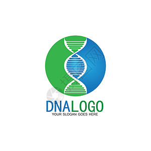 Dna 矢量标志设计模板 现代医学标识 实验室科学图标符号 彩色药理学标志vecto生物生活细胞生物学染色体公司身份基因组基因研背景图片