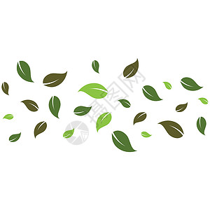 飞叶标志矢量植物墙纸绿色叶子白色插图环境树叶季节生态背景图片
