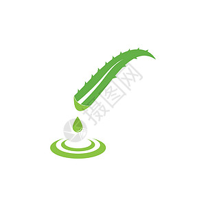 芦荟标志矢量它制作图案草本植物绿色树叶治疗植物蕾丝药品叶子草本插图背景图片