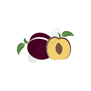 梅花图标梅花标志矢量图标设计饮食插图紫色标识植物李子绿色食物艺术水果插画