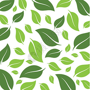 飞叶标志矢量墙纸环境植物插图白色季节绿色叶子生态草本背景图片