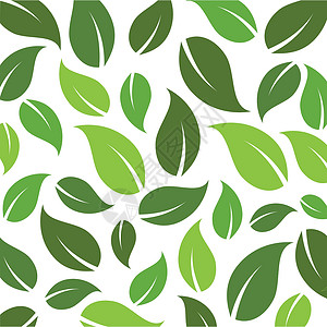 飞叶标志矢量季节植物绿色草本树叶叶子白色插图生态墙纸背景图片